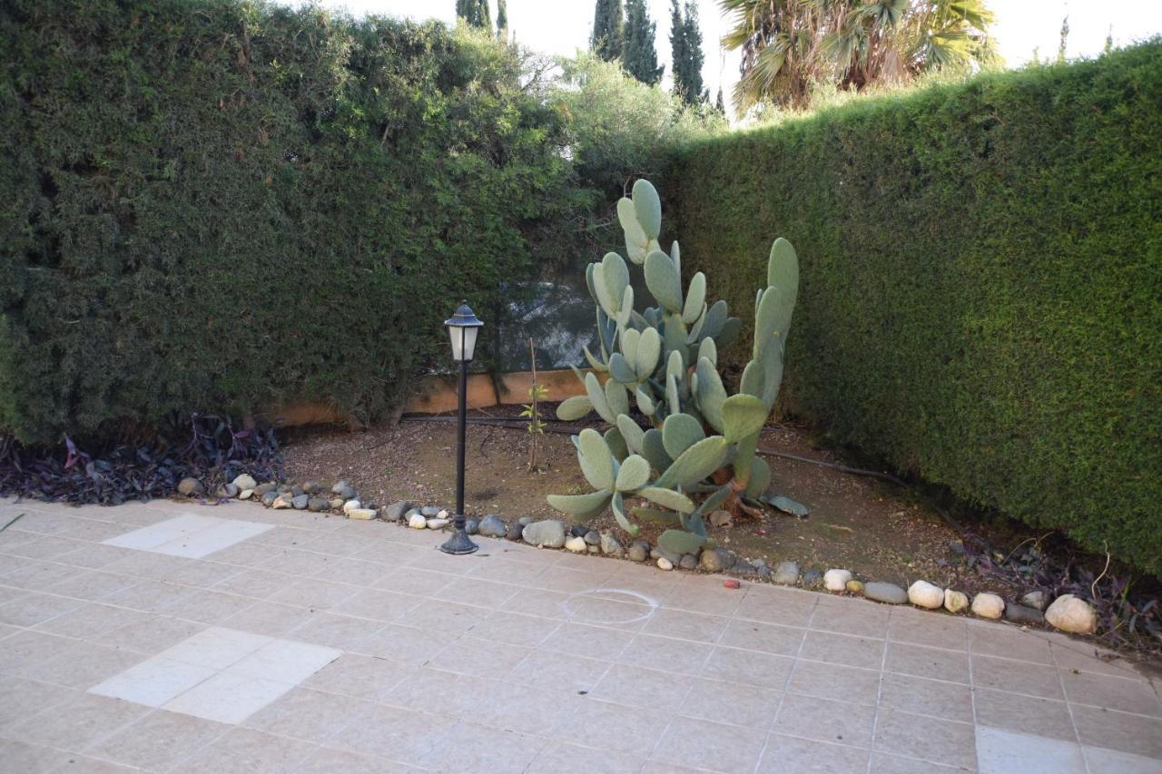 Raise Cosy Studio With Pool In Limassol Exteriör bild